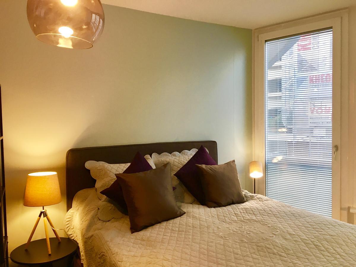 Rue Jean-Antoine Gautier Apartment Женева Екстериор снимка