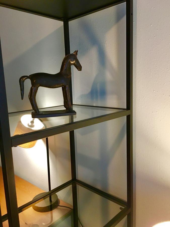 Rue Jean-Antoine Gautier Apartment Женева Екстериор снимка